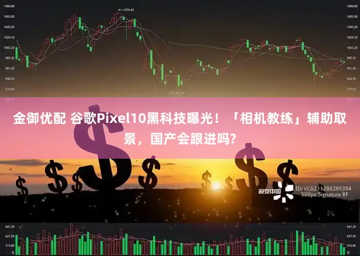 金御优配 谷歌Pixel10黑科技曝光！「相机教练」辅助取景，国产会跟进吗?