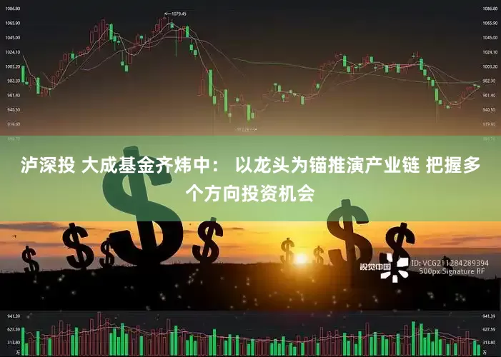 泸深投 大成基金齐炜中： 以龙头为锚推演产业链 把握多个方向投资机会